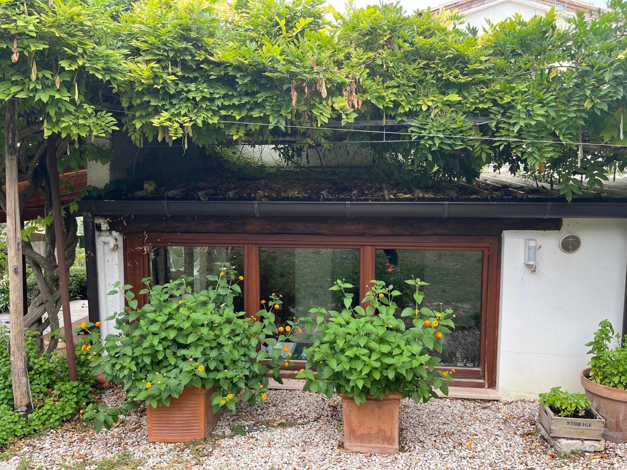 페자로 Casa Sant Angelo 아파트 외부 사진